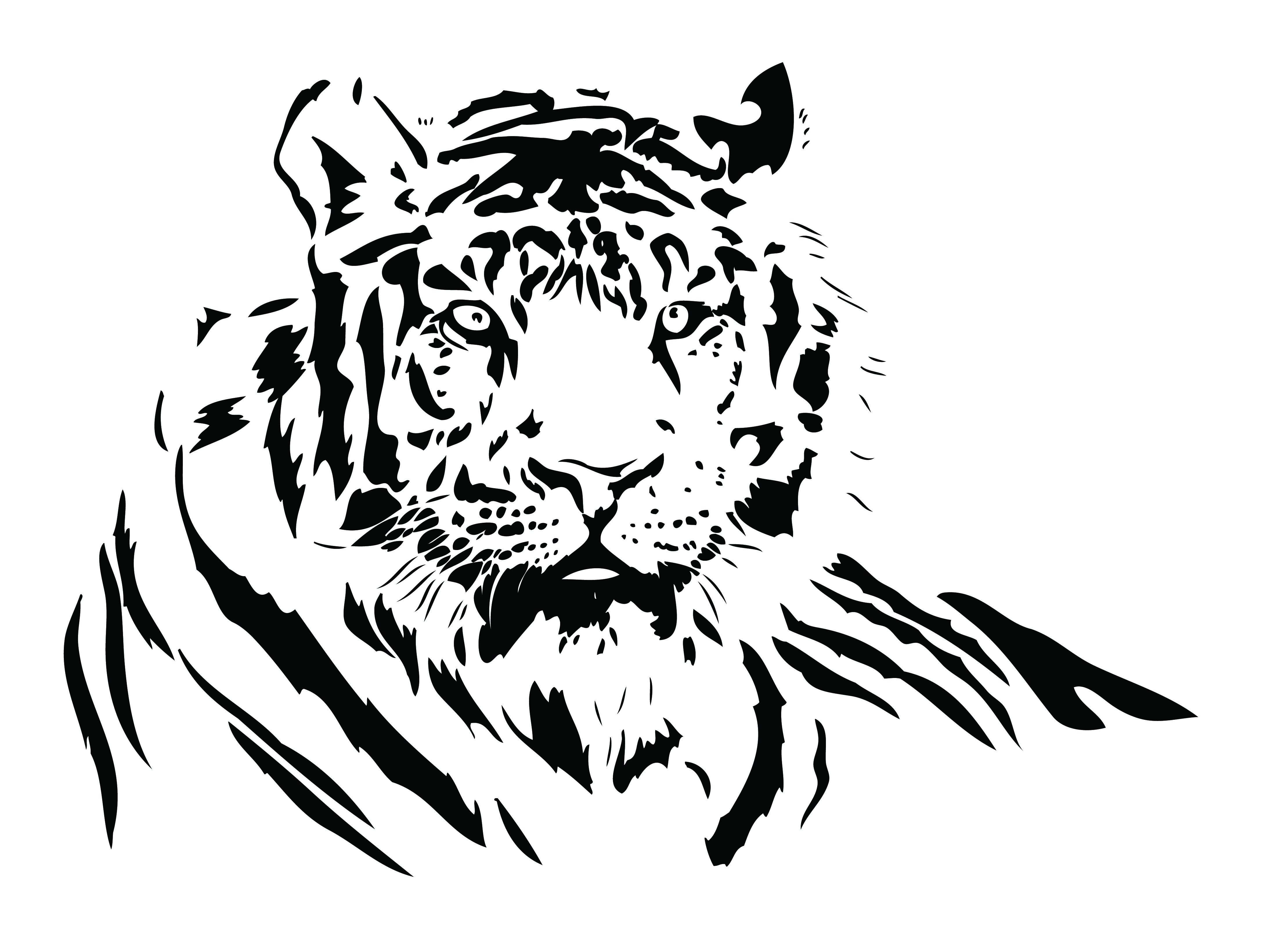 both black and white tiger vector