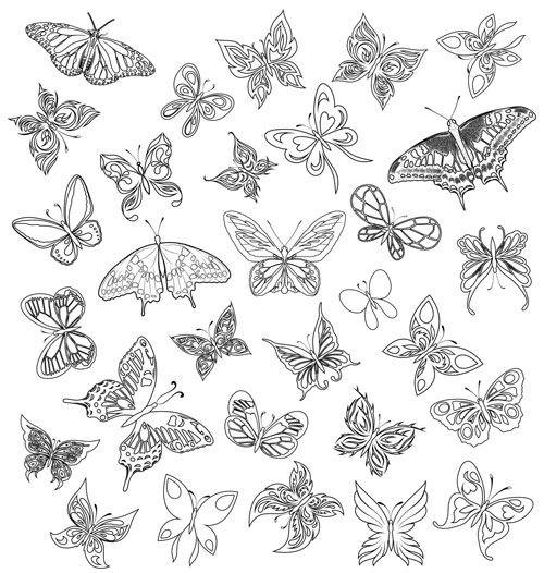 a variety of butterflies vector