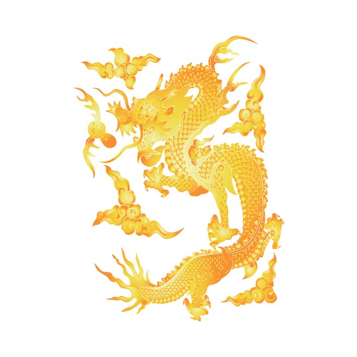 dragon vector