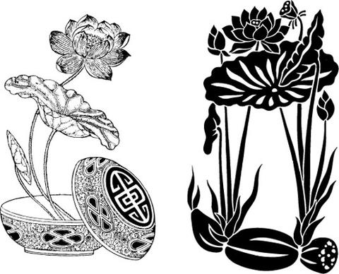 both classical lotus lotus root vector