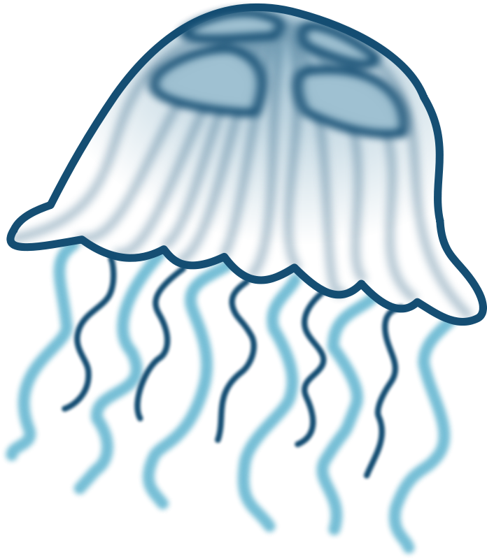 Jellyfish