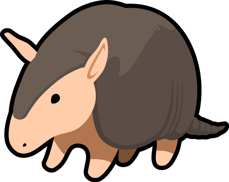 armadillo