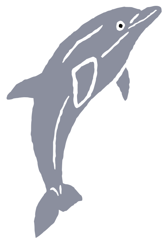 Dolphin