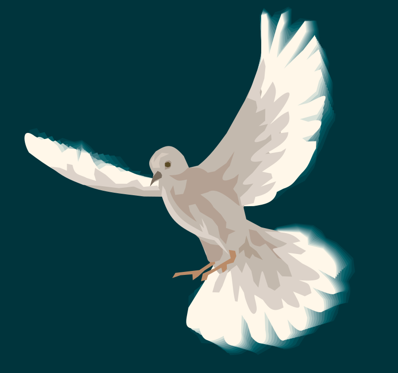 Dove