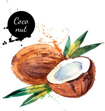 watercolor cacanut sketch design vector