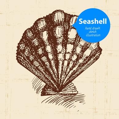 set of seashell hand drawn vectors