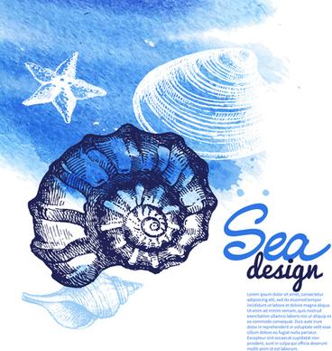 set of seashell hand drawn vectors