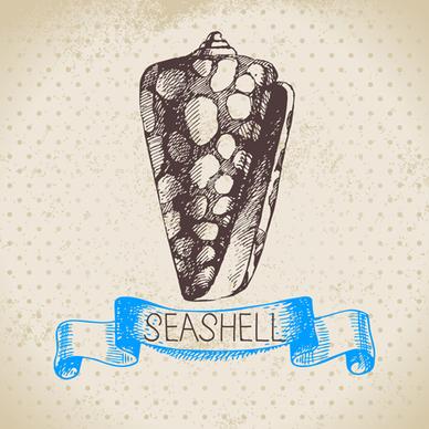 set of seashell hand drawn vectors