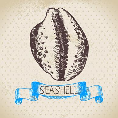 set of seashell hand drawn vectors