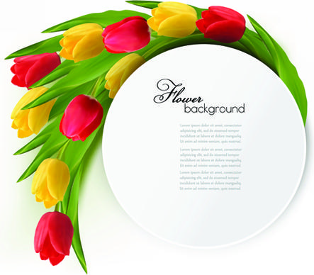 holidays tulips creative background vectors