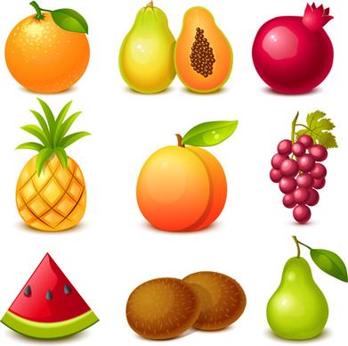 tasty fruits shiny vector