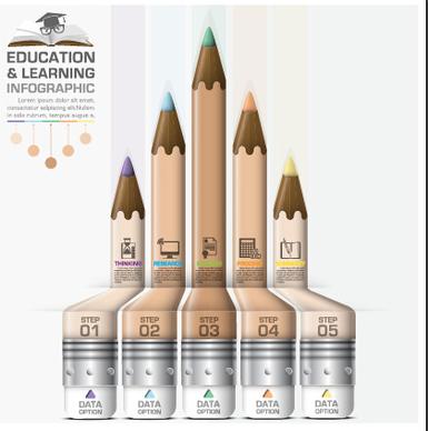 education with learning infographic design vector