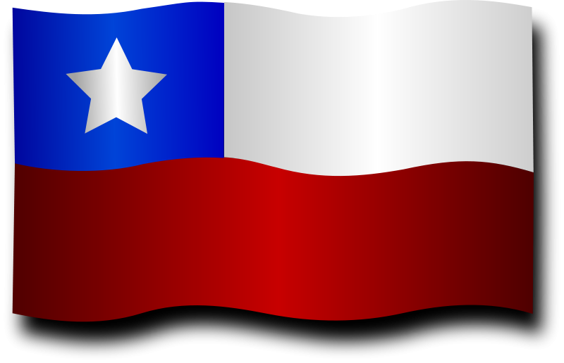 Chilean Flag 6