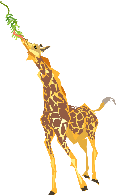 Giraffe 3