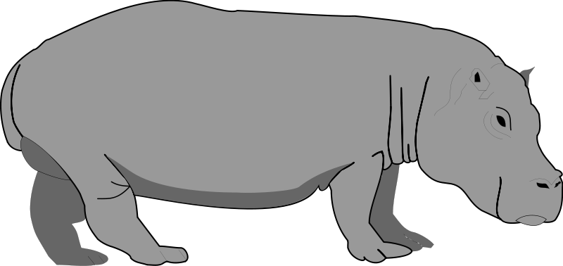 Hippopotamus 2