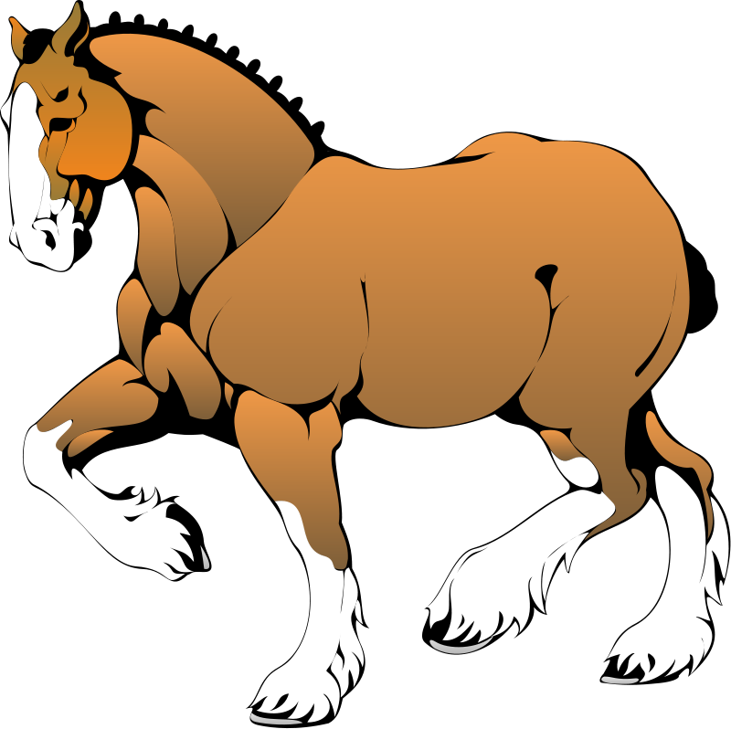 Horse 2