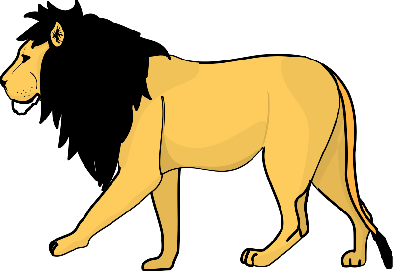 Lion 2