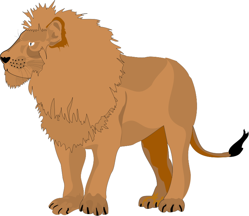 Lion 3