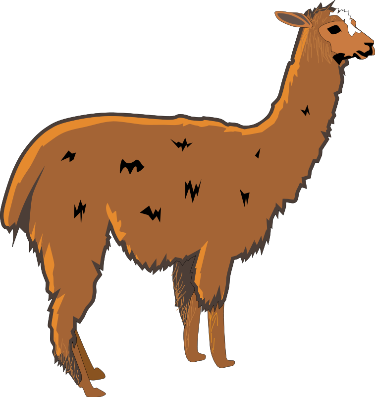 Llama