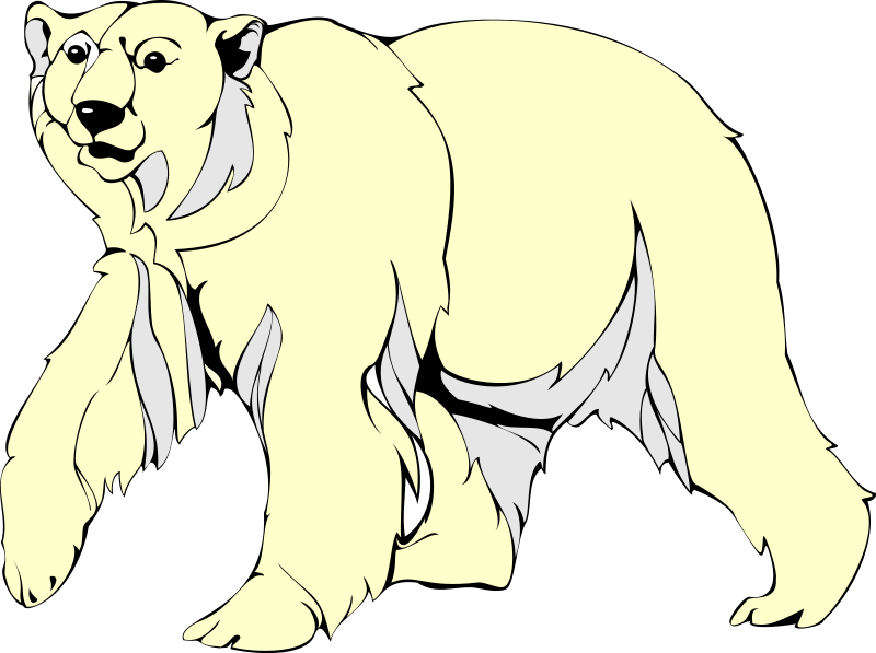 Polar Bear 2