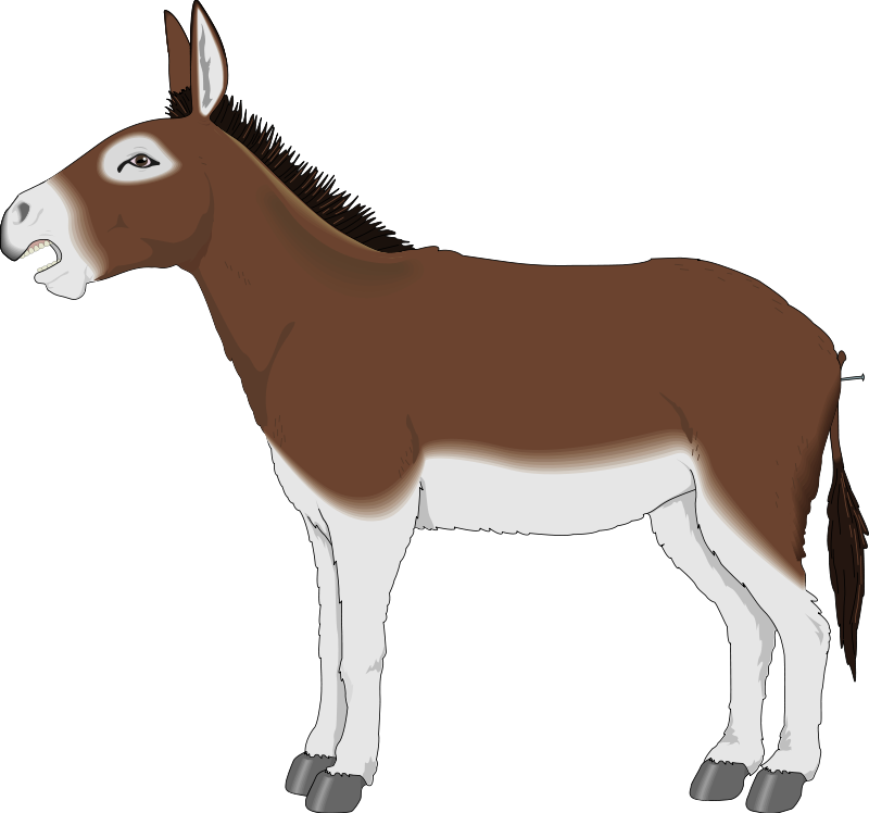 Donkey 2