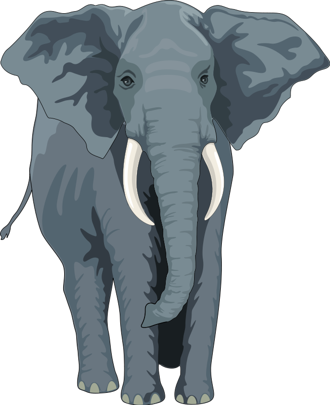 Elephant 2