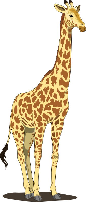 Giraffe 2