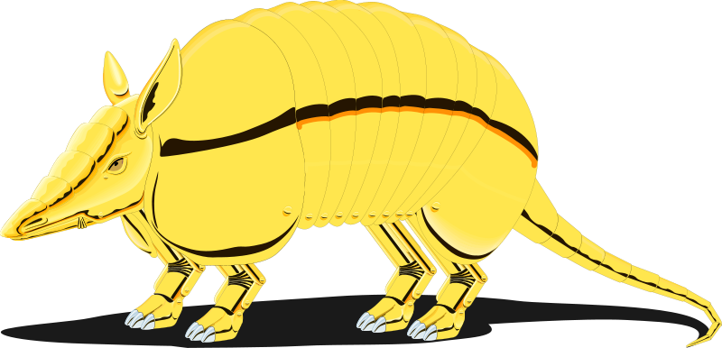 Armadillo 1