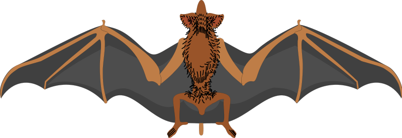 Bat 1