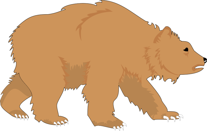 Bear 1