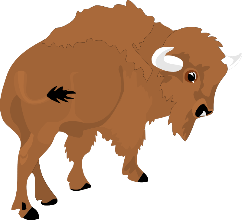 Bison 2