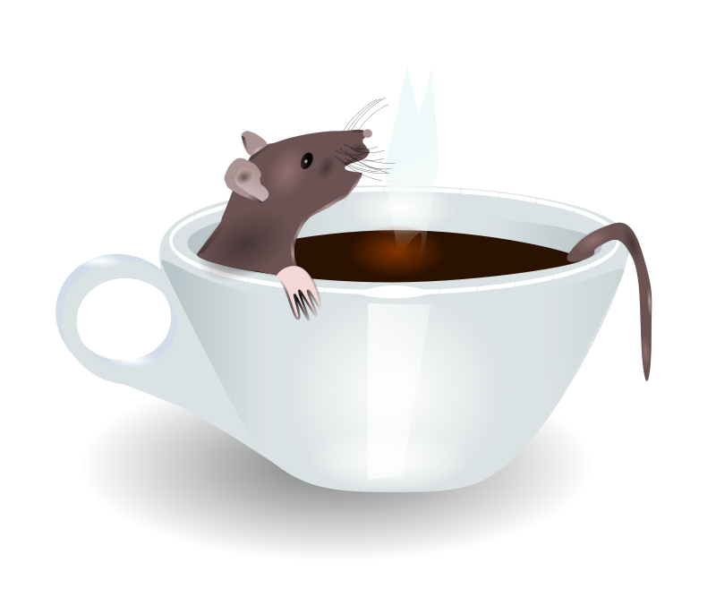 rat in coffee