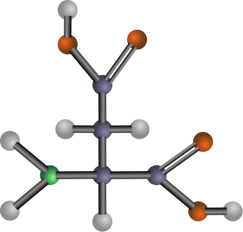 Aspartic acid (amino acid)