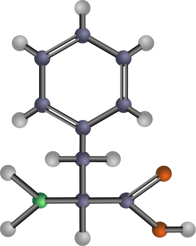 Phenylalanine (amino acid)