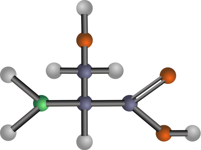 Serine (amino acid)