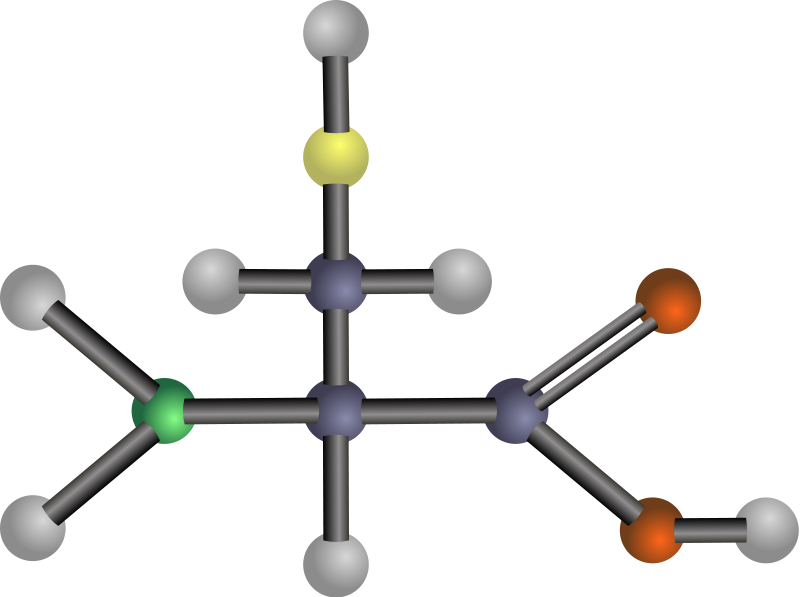 Cysteine (amino acid)