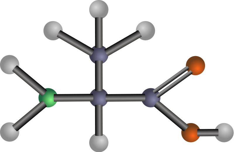 Alanine (amino acid)