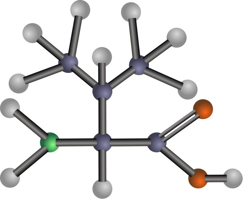 Valine (amino acid)