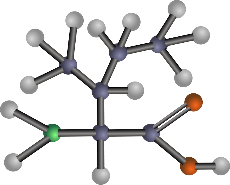 Isoleucine (amino acid)