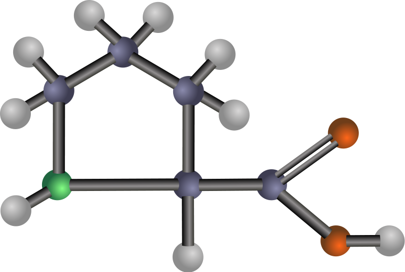 Proline (amino acid)