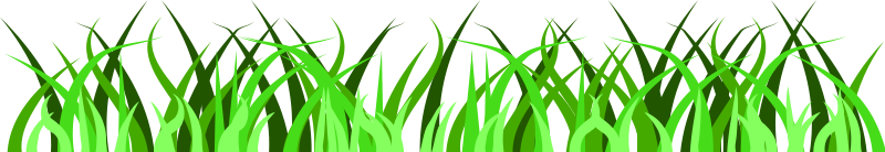 Grass