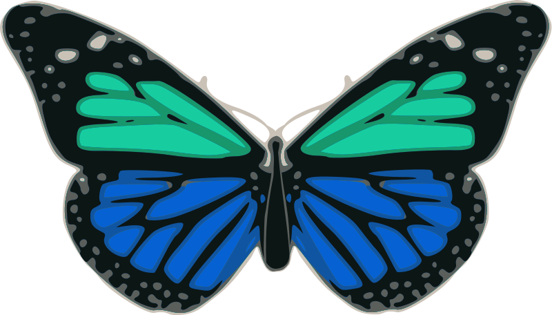 Butterfly 02 Turquoise Blue