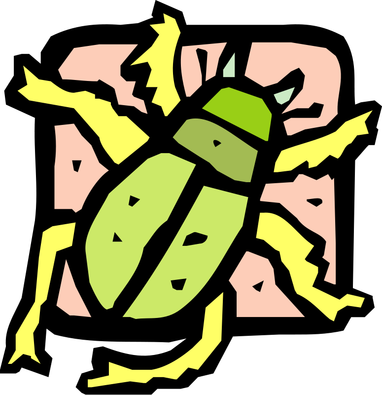 insect 38