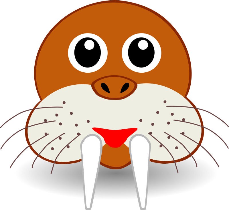 funny walrus face