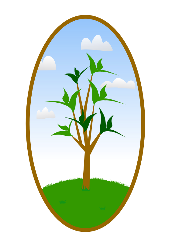 Oval Tree Landscape