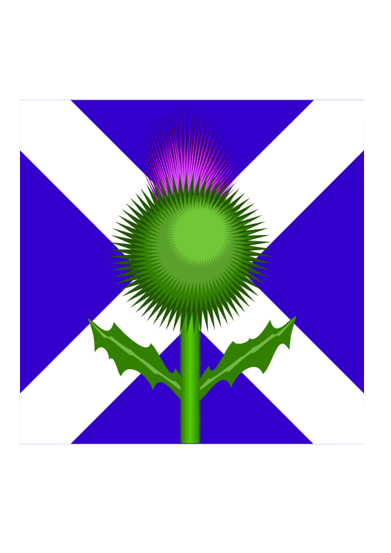 Scottish Thistle and flag