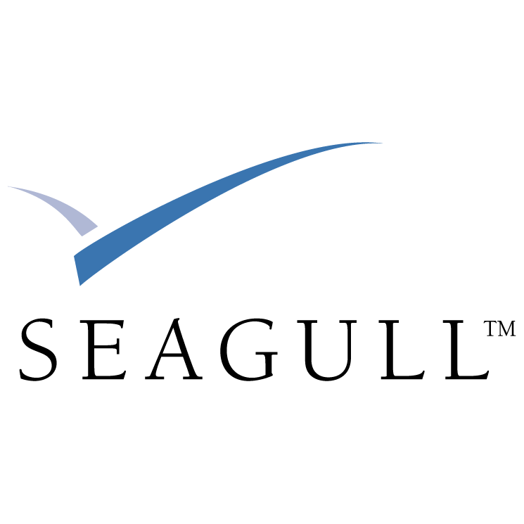 seagull