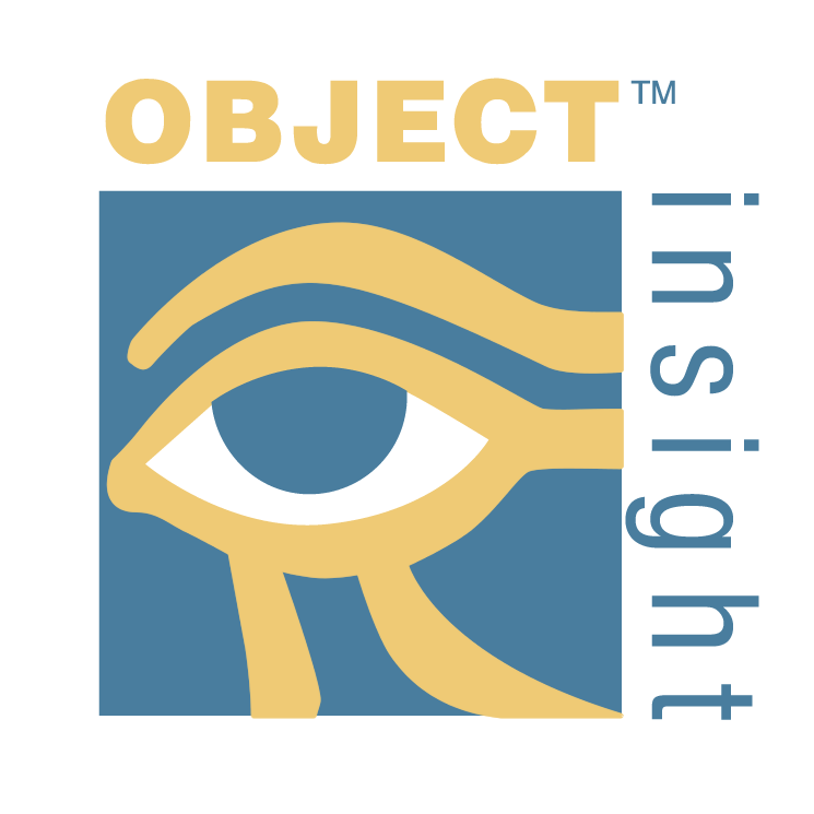 object insight