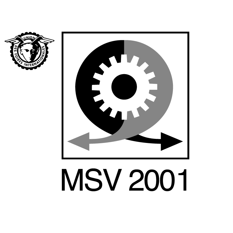 msv 0