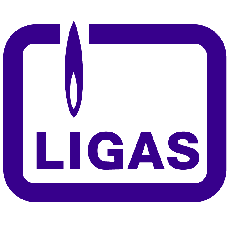 ligas